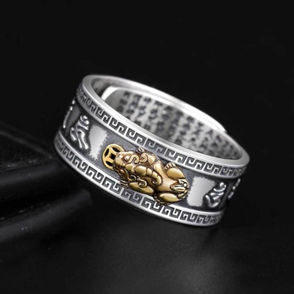 Feng Shui Pisiu Mantra Ring Protection Wealth Ring Pi Yao Amulet Ring Adjustable - Picture 3 of 3